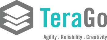 TeraGo Networks